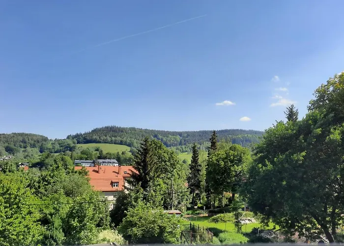 Orlicka Apartament